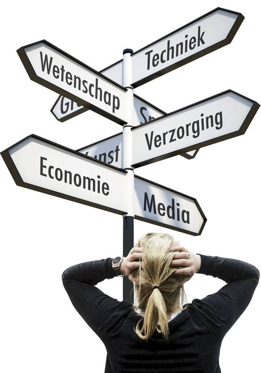 Student met handen in het haar bij bord met verschillende studies